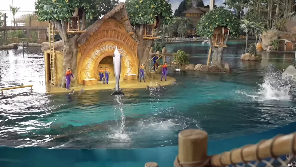 Dolphin show at SeaWorld Abu Dhabi